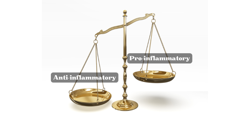 A scale tipping towards anti-inflammatory, and other side is pro-inflammatory. 